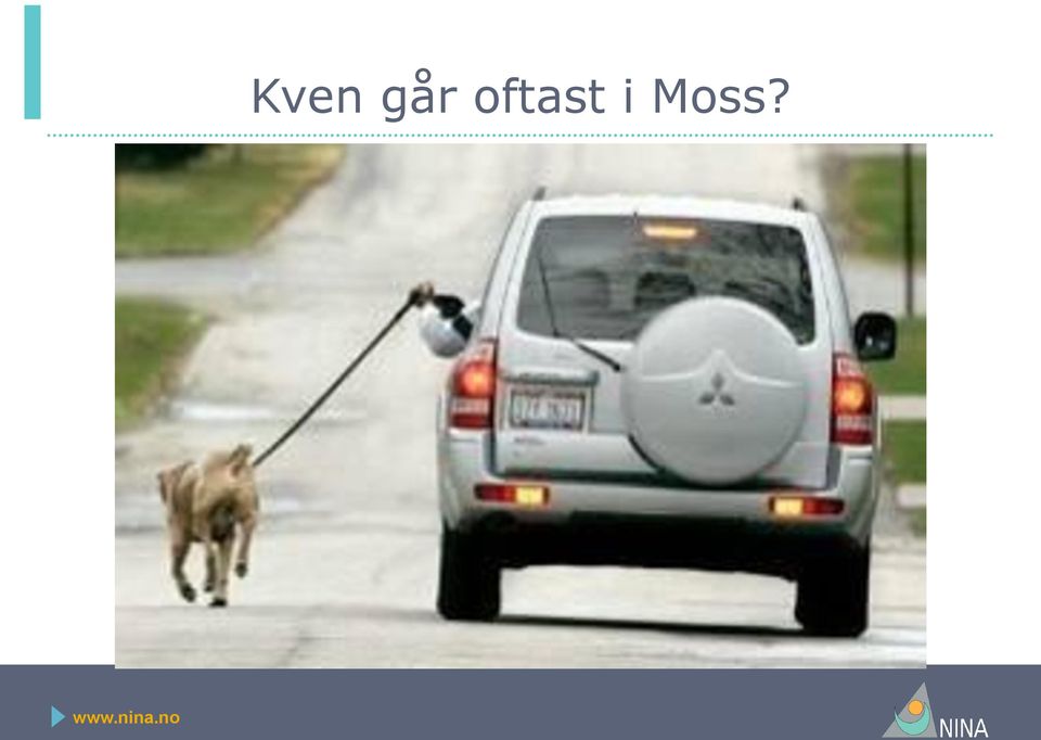 Moss?