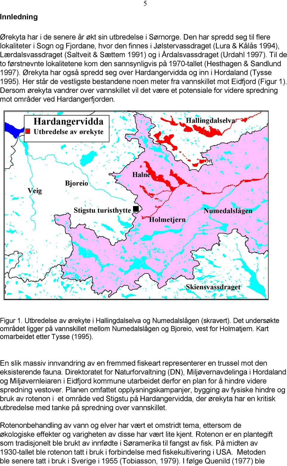 Til de to førstnevnte lokalitetene kom den sannsynligvis på 197-tallet (Hesthagen & Sandlund 1997). Ørekyta har også spredd seg over Hardangervidda og inn i Hordaland (Tysse 1995).