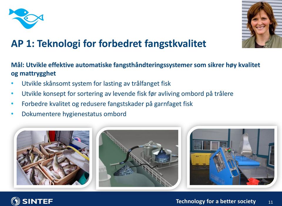 lasting av trålfanget fisk Utvikle konsept for sortering av levende fisk før avliving ombord