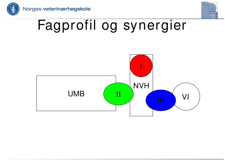 synergier