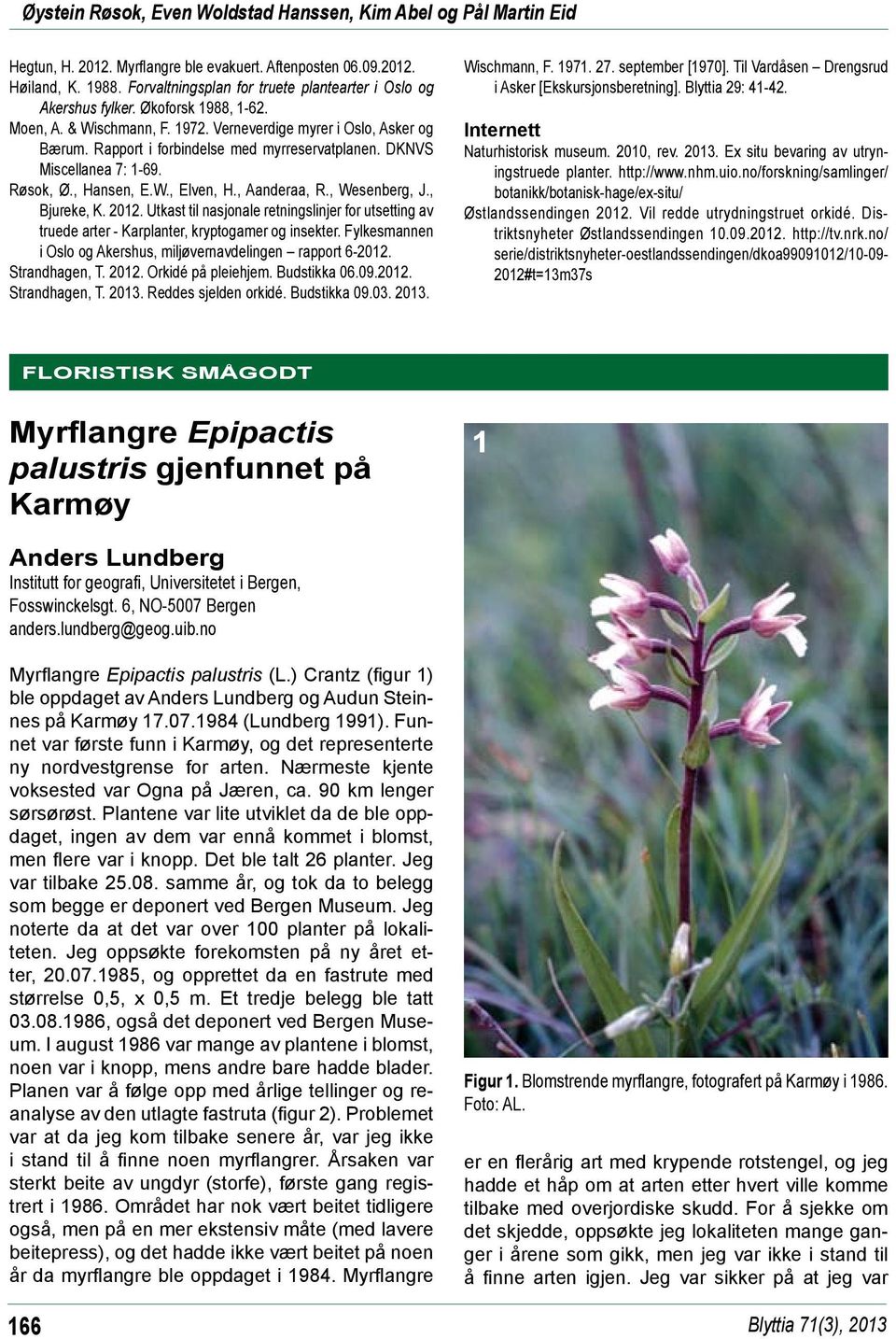 Rapport i forbindelse med myrreservatplanen. DKNVS Miscellanea 7: 1-69. Røsok, Ø., Hansen, E.W., Elven, H., Aanderaa, R., Wesenberg, J., Bjureke, K. 2012.