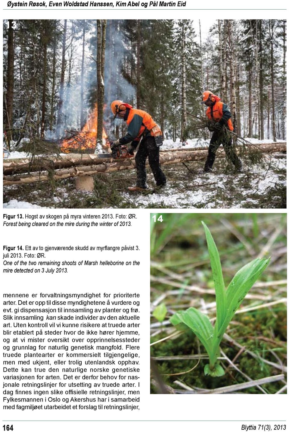 mennene er forvaltningsmyndighet for prioriterte arter. Det er opp til disse myndighetene å vurdere og evt. gi dispensasjon til innsamling av planter og frø.