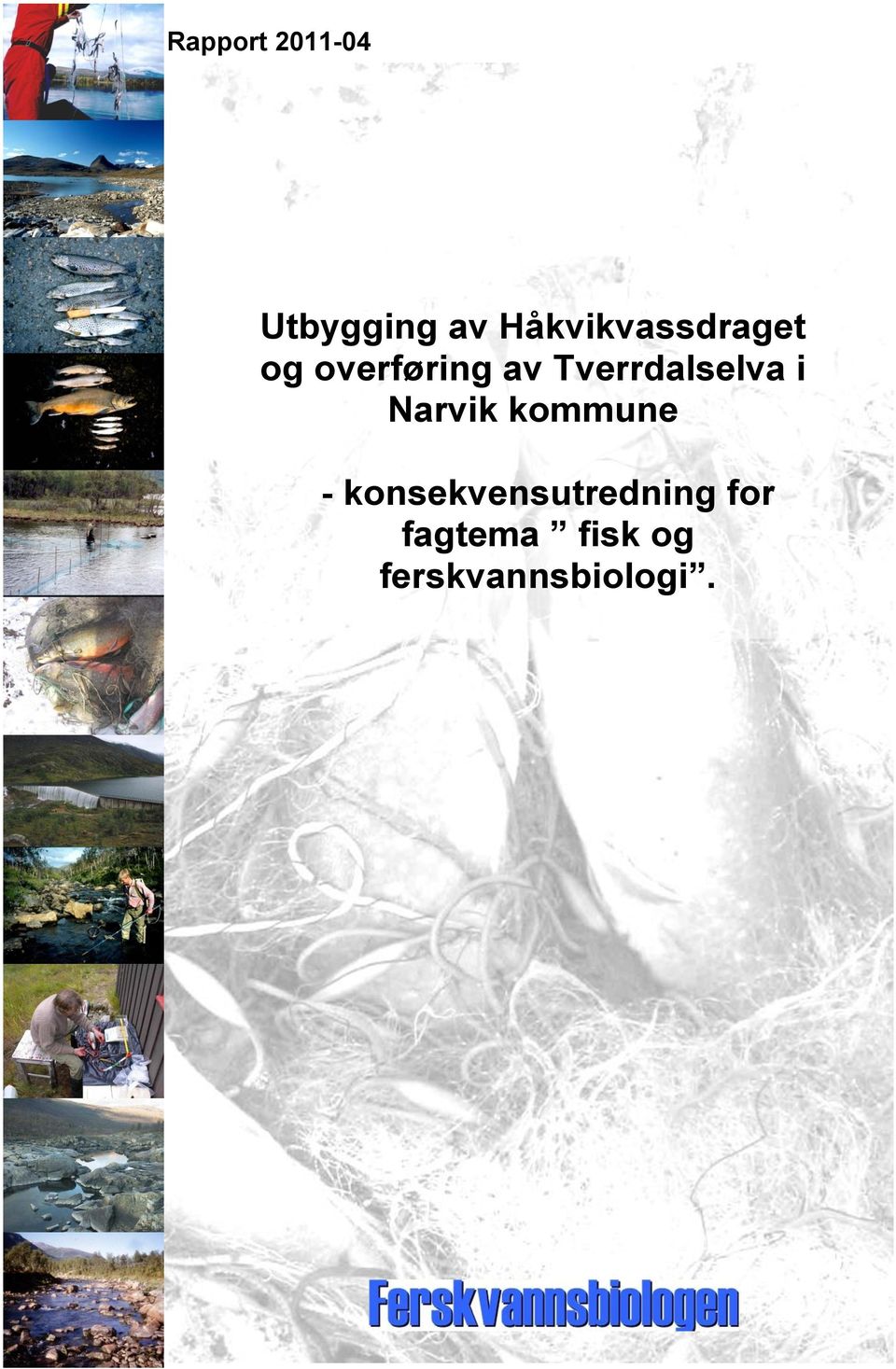 Tverrdalselva i Narvik kommune -