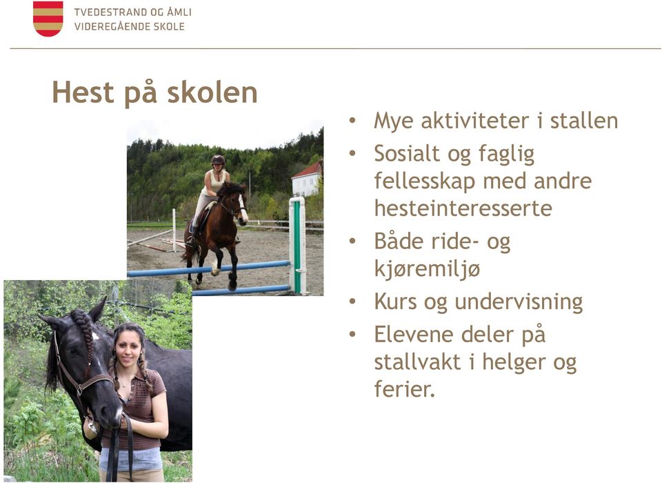 hesteinteresserte Både ride- og kjøremiljø Kurs