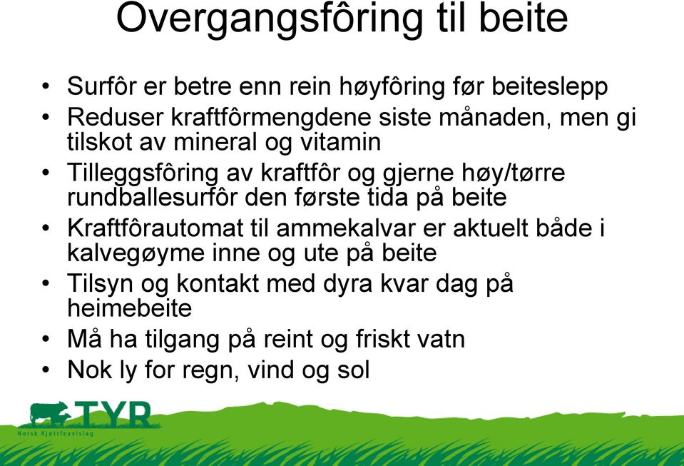 den første tida på beite Kraftfôrautomat til ammekalvar er aktuelt både i kalvegøyme inne og ute på beite