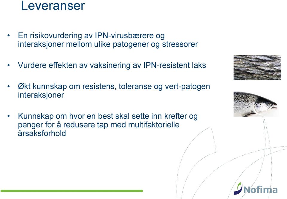 kunnskap om resistens, toleranse og vert-patogen interaksjoner Kunnskap om hvor en