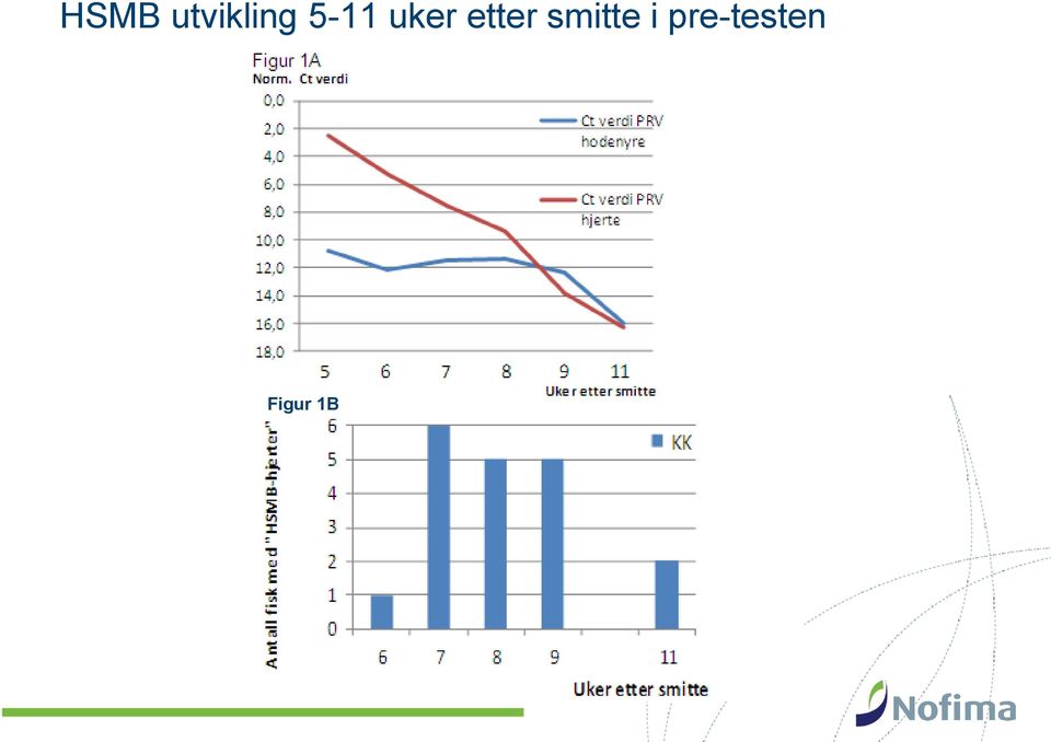 etter smitte i