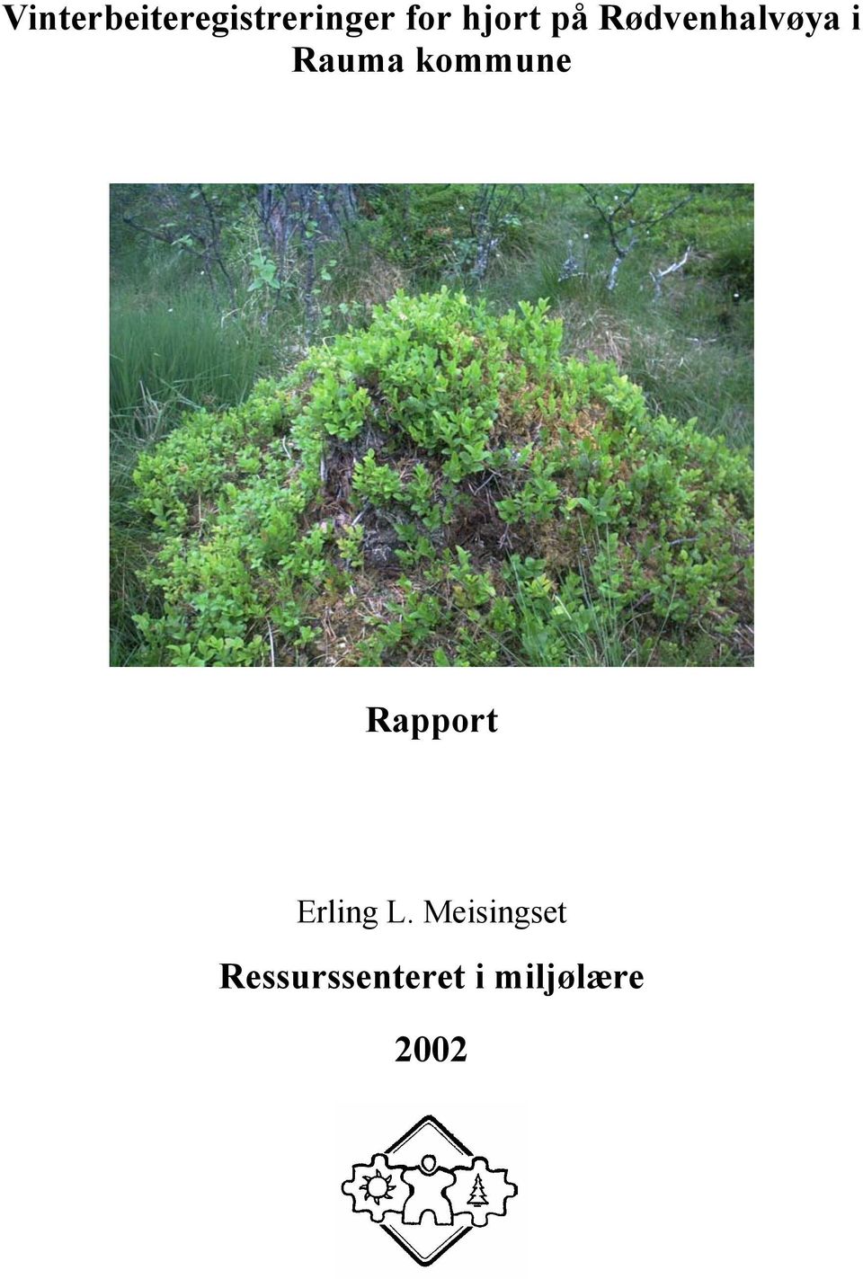 kommune Rapport Erling L.