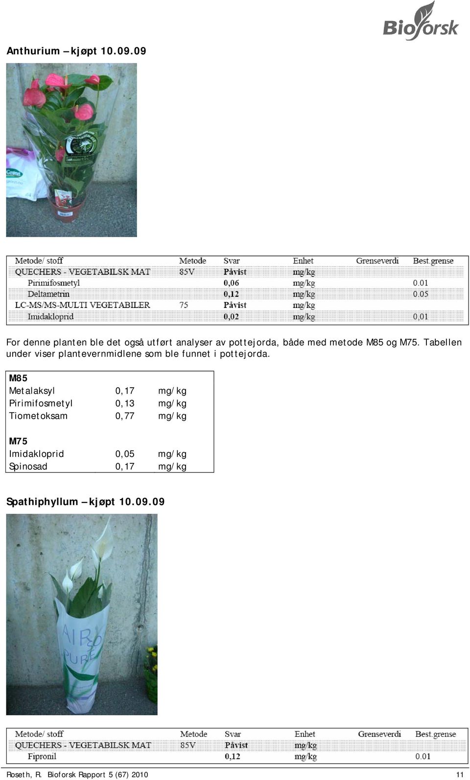 Tabellen under viser plantevernmidlene som ble funnet i pottejorda.