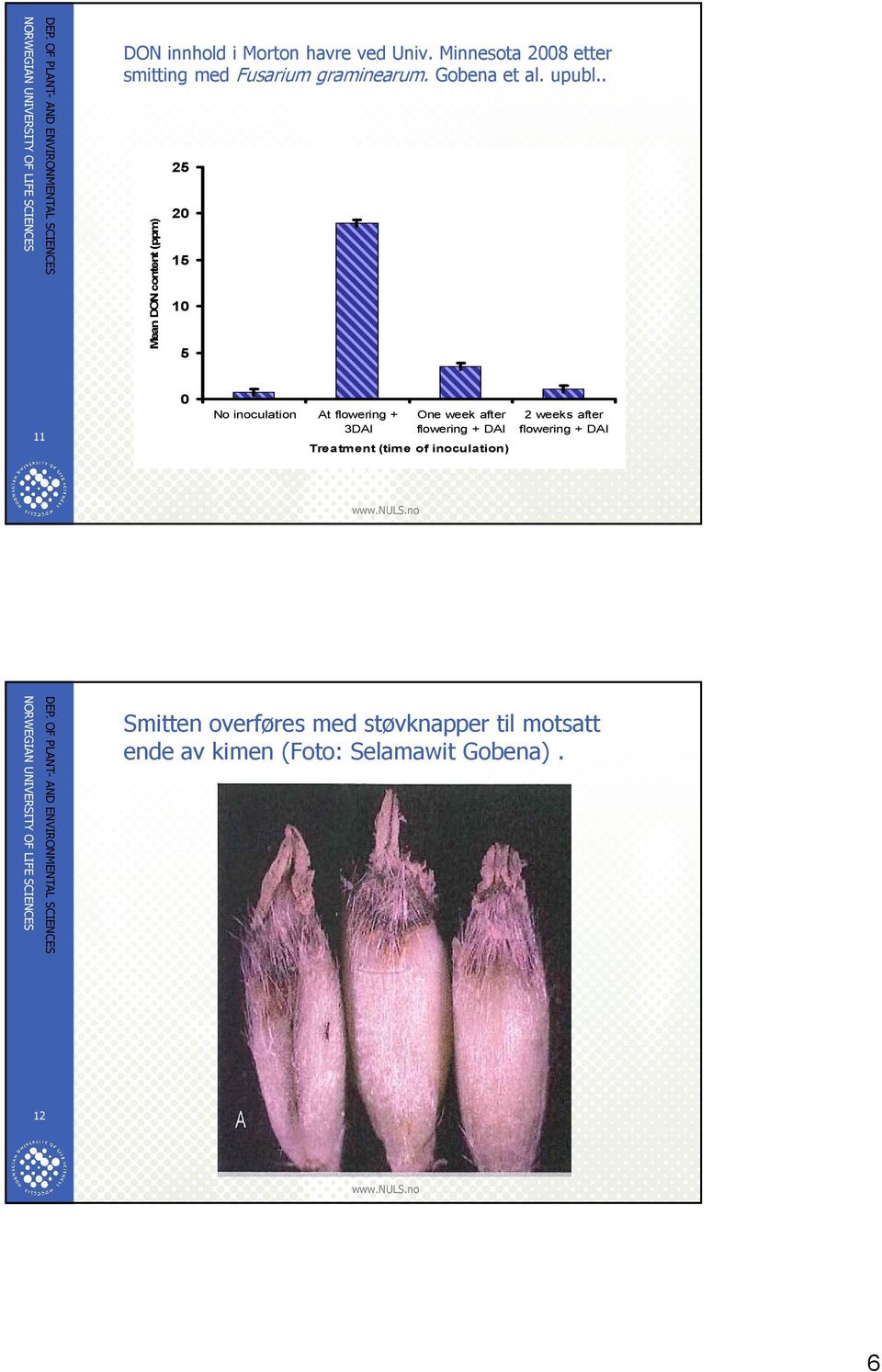 . Mean DON content (ppm) 25 2 15 1 5 11 No inoculation At flowering + 3DAI One week after