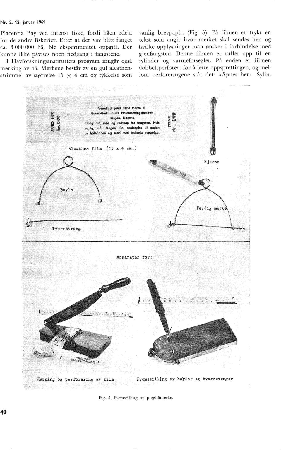 VIerkene består av en gu acathenstrimme av størrese 5 X 4 cn og tykkese som vanig brevpapir. (Fig. 5).