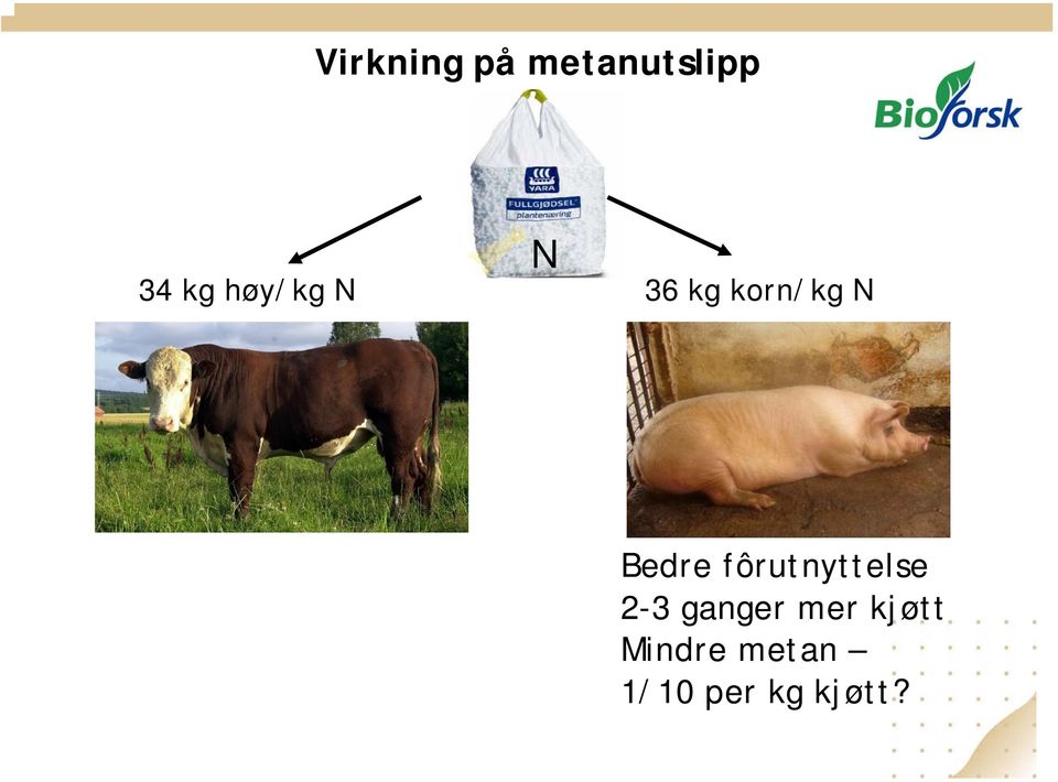 fôrutnyttelse 2-3 ganger mer