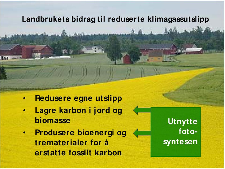 karbon i jord og biomasse Produsere bioenergi