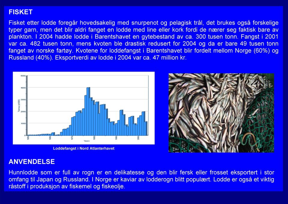 482 tusen tonn, mens kvoten ble drastisk redusert for 2004 og da er bare 49 tusen tonn fanget av norske fartøy.