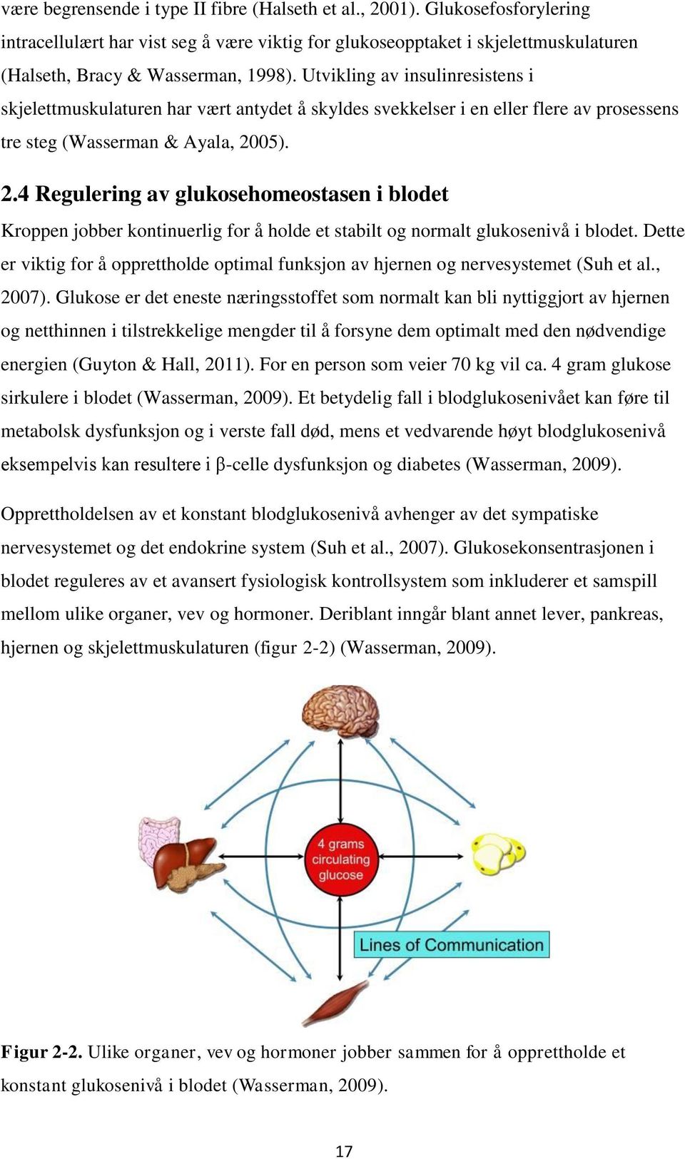 05). 2.4 Regulering av glukosehomeostasen i blodet Kroppen jobber kontinuerlig for å holde et stabilt og normalt glukosenivå i blodet.