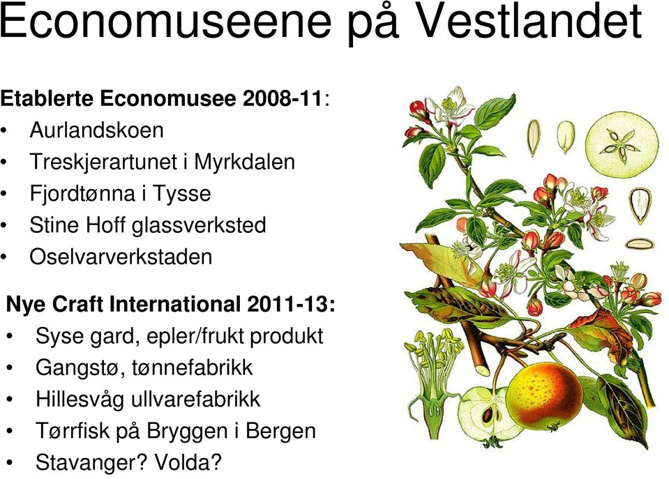 Oselvarverkstaden Nye Craft International 2011-13: Syse gard, epler/frukt