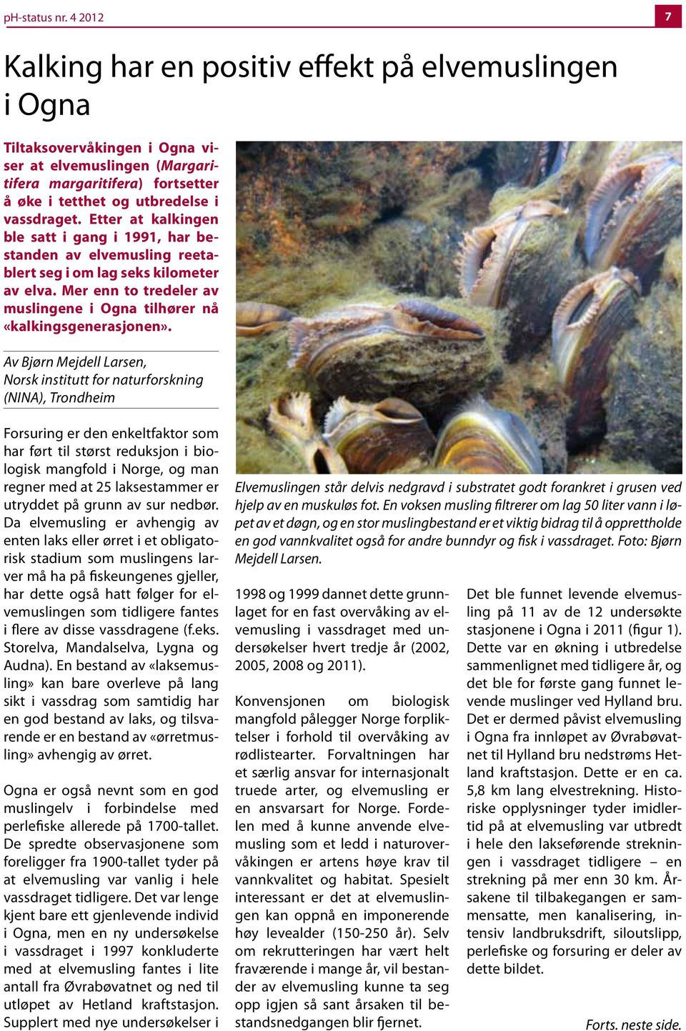 Etter at kalkingen ble satt i gang i 1991, har bestanden av elvemusling reetablert seg i om lag seks kilometer av elva. Mer enn to tredeler av muslingene i Ogna tilhører nå «kalkingsgenerasjonen».