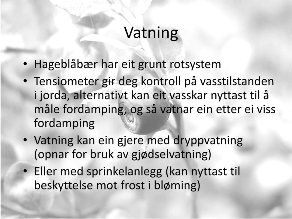 så vatnar ein etter ei viss fordamping Vti Vatning kan ein gjere med dryppvatning