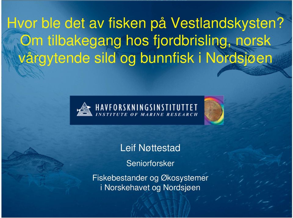 sild og bunnfisk i Nordsjøen Leif Nøttestad