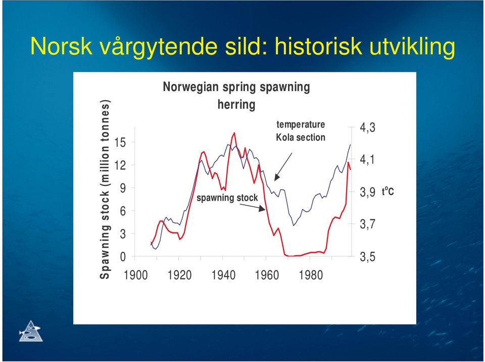 spring spawning herring spawning stock temperature Kola