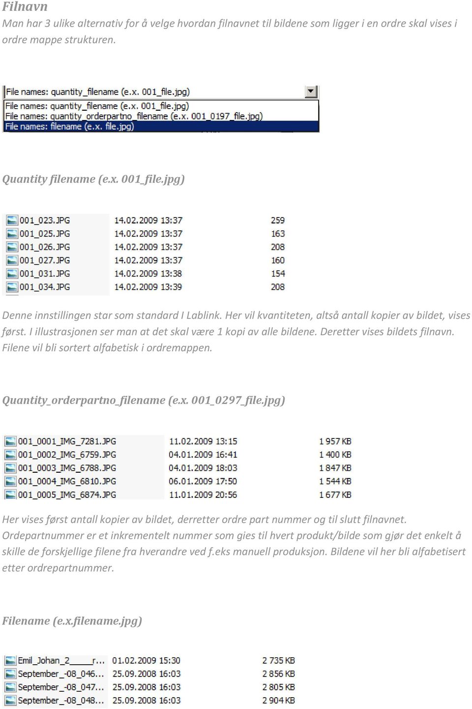 Deretter vises bildets filnavn. Filene vil bli sortert alfabetisk i ordremappen. Quantity_orderpartno_filename (e.x. 001_0297_file.