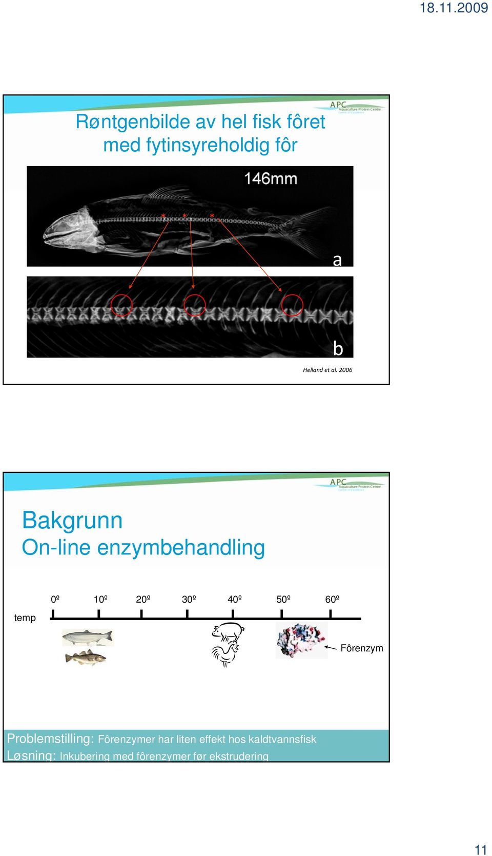2006 Bakgrunn n-line enzymehandling temp 0º 10º 20º 30º 40º 50º 60º