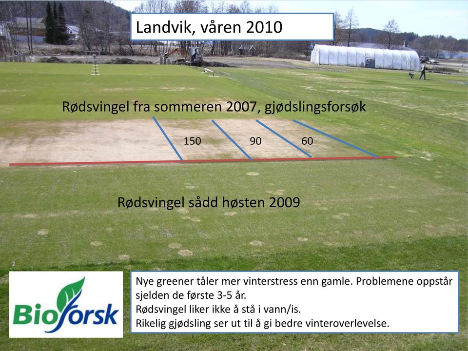 gamle. Problemene oppstår sjelden de første 3-5 år.