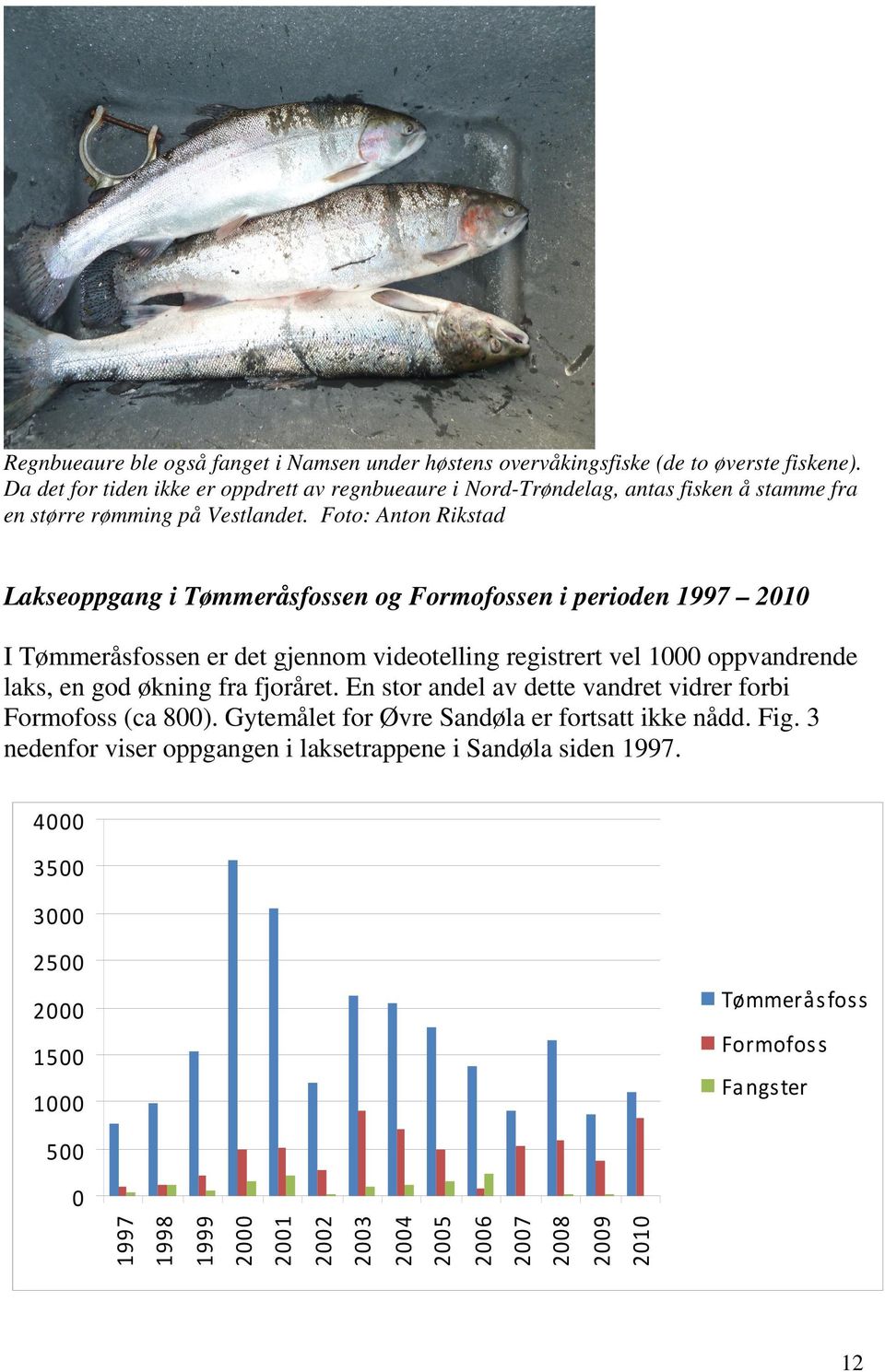 Foto: Anton Rikstad Lakseoppgang i Tømmeråsfossen og Formofossen i perioden 1997 2010 I Tømmeråsfossen er det gjennom videotelling registrert vel 1000 oppvandrende laks, en god økning