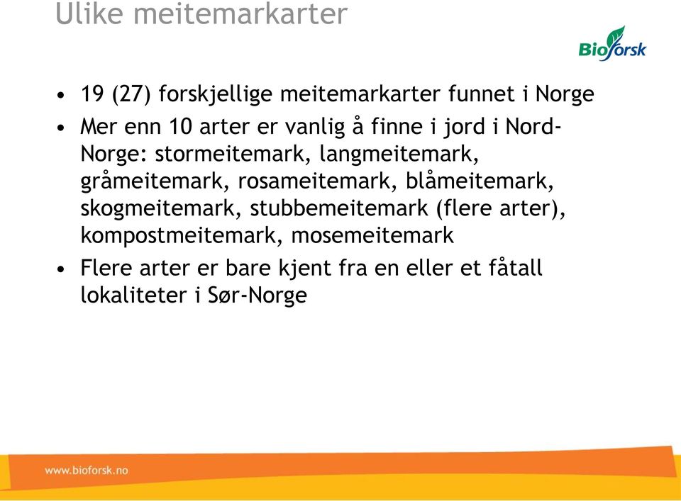 gråmeitemark, rosameitemark, blåmeitemark, skogmeitemark, stubbemeitemark (flere