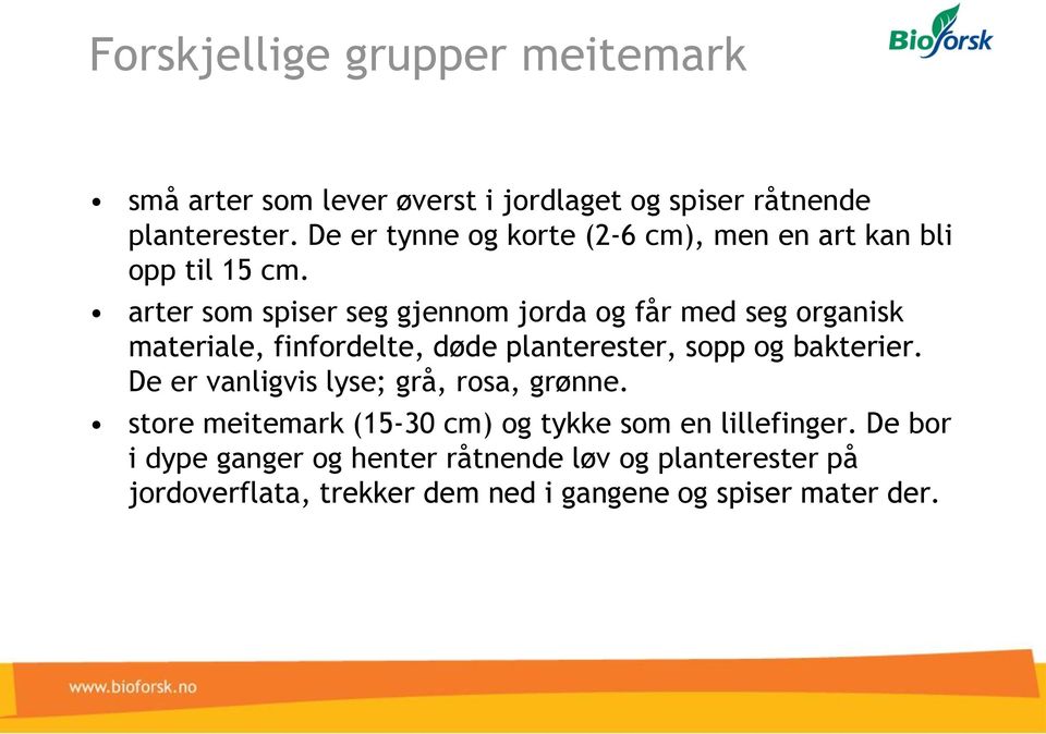 arter som spiser seg gjennom jorda og får med seg organisk materiale, finfordelte, døde planterester, sopp og bakterier.