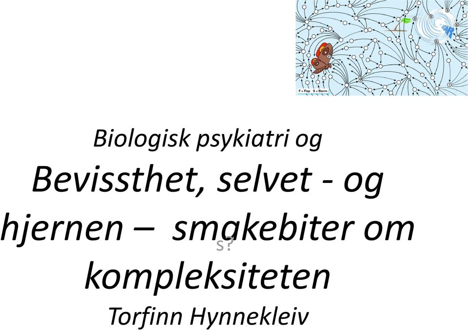 hjernen smakebiter om s?