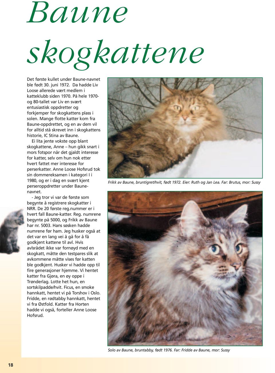Mange flotte katter kom fra Baune-oppdrettet, og en av dem vil for alltid stå skrevet inn i skogkattens historie, IC Stina av Baune.