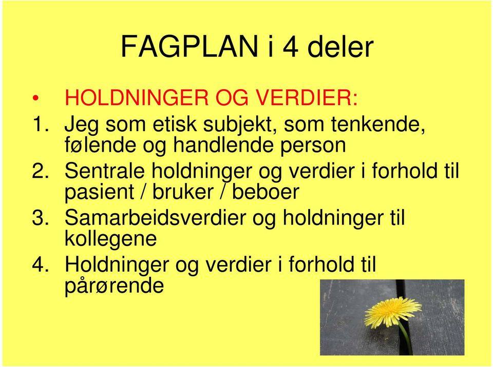 Sentrale holdninger og verdier i forhold til pasient / bruker /