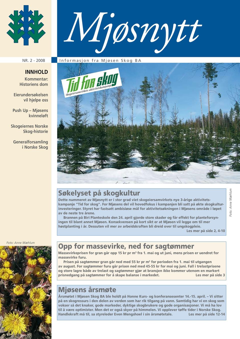 For Mjøsens del vil hovedfokus i kampanjen bli satt på økte skogkulturinvesteringer. Styret har fastsatt ambisiøse mål for aktivitetsøkningen i Mjøsens område i løpet av de neste tre årene.