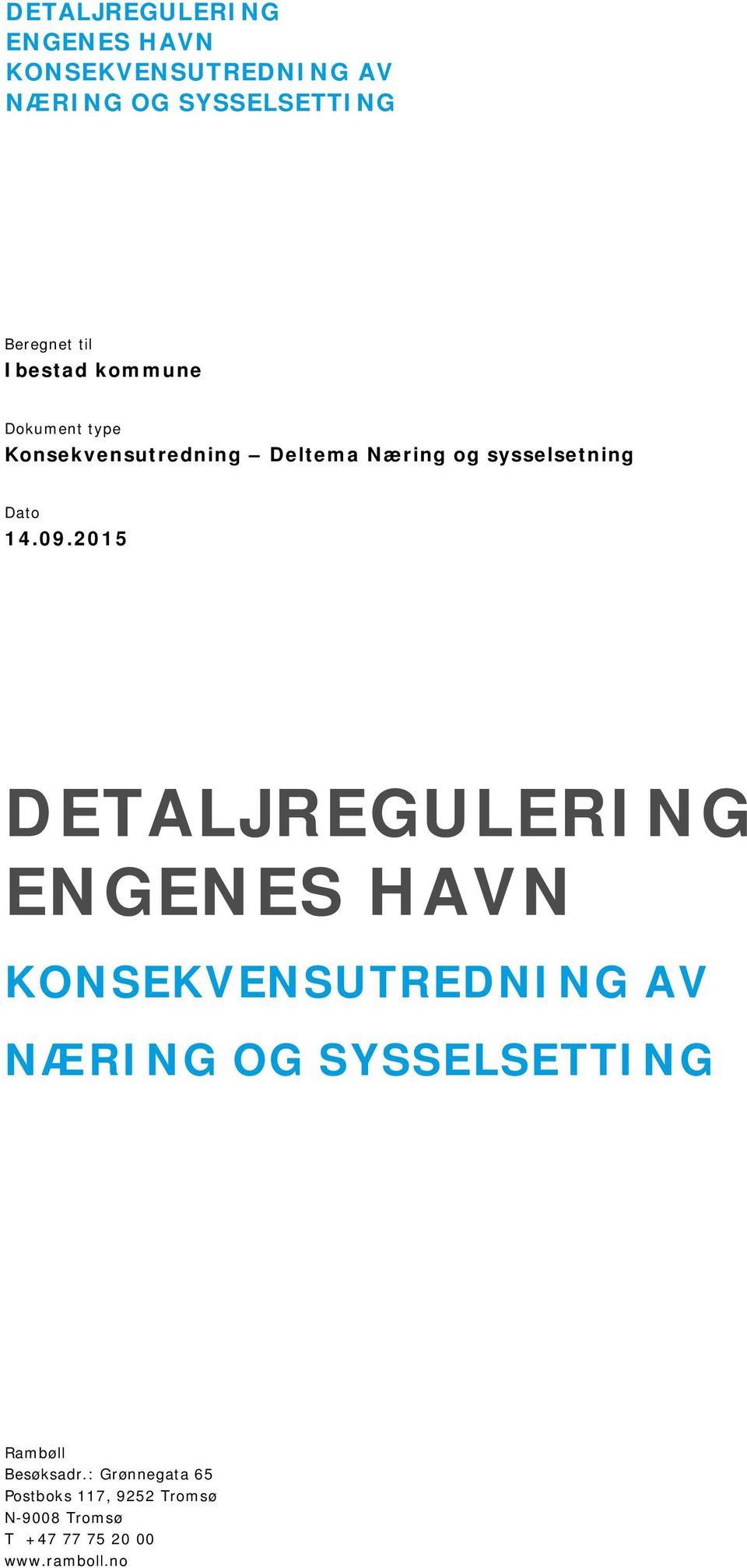 2015 DETALJREGULERING ENGENES HAVN KONSEKVENSUTREDNING AV NÆRING OG SYSSELSETTING Rambøll