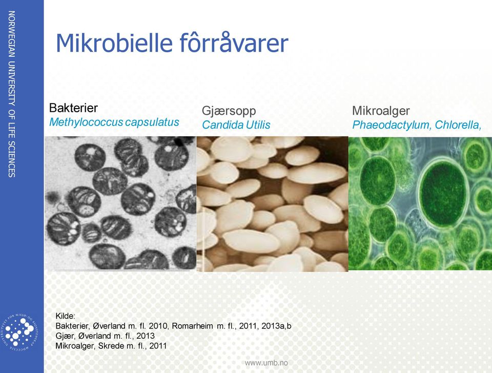 Kilde: Bakterier, Øverland m. fl.
