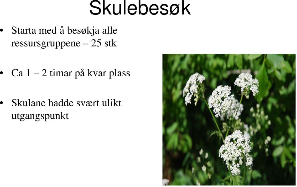 Skulebesøk Ca 1 2 timar på kvar