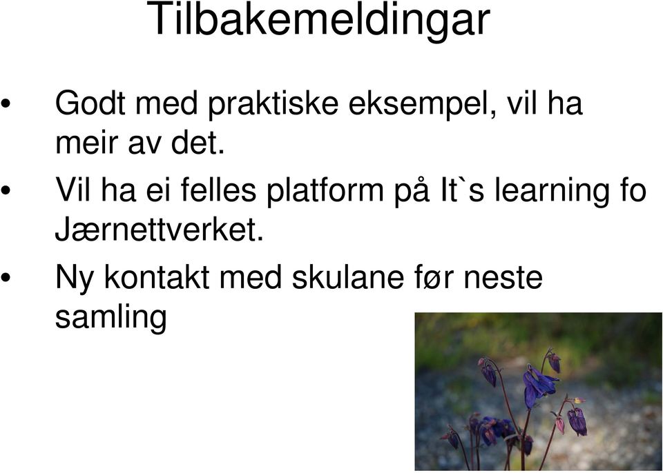 Vil ha ei felles platform på It`s