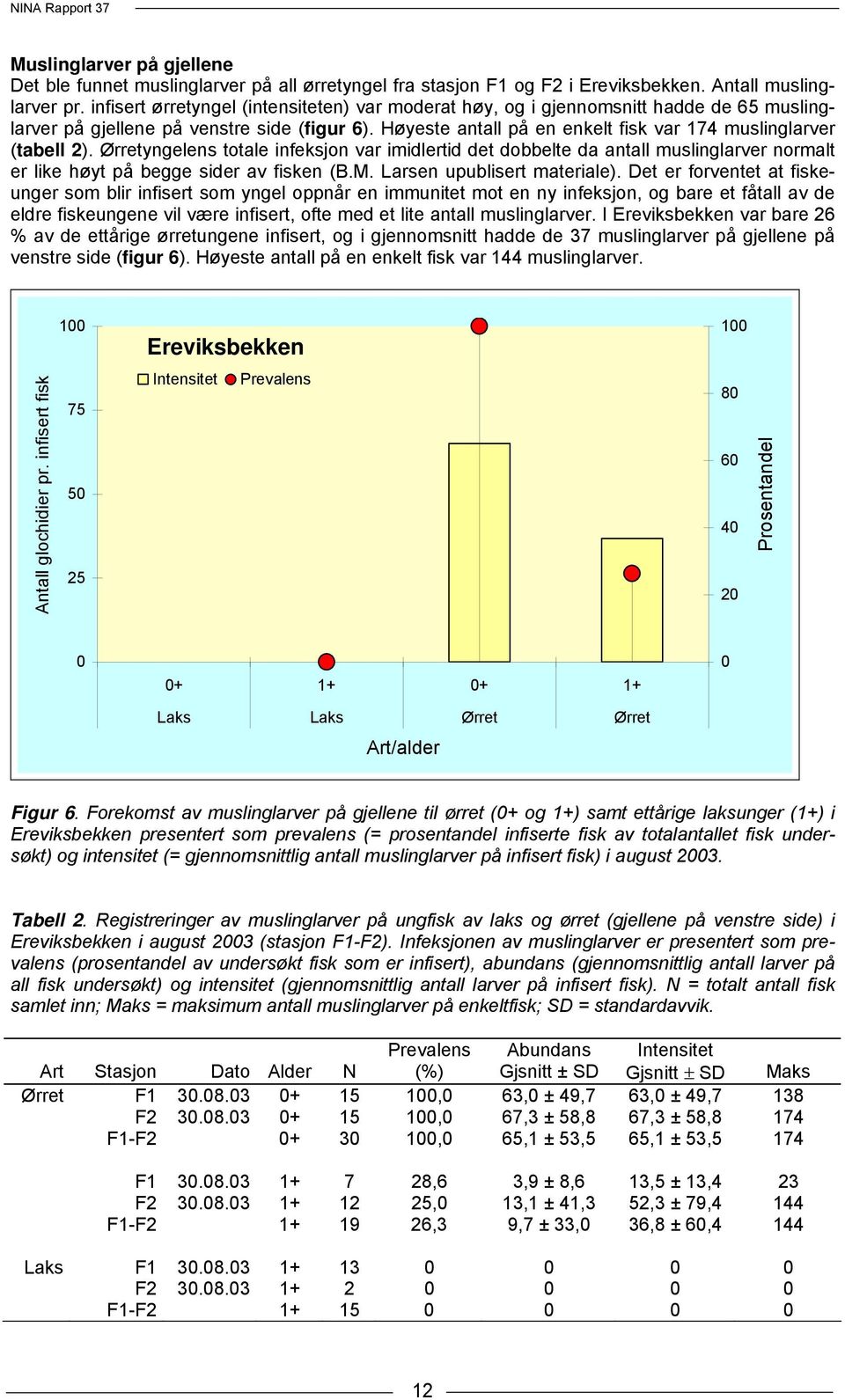 Høyeste antall på en enkelt fisk var 174 muslinglarver (tabell 2). Ørretyngelens totale infeksjon var imidlertid det dobbelte da antall muslinglarver normalt er like høyt på begge sider av fisken (B.