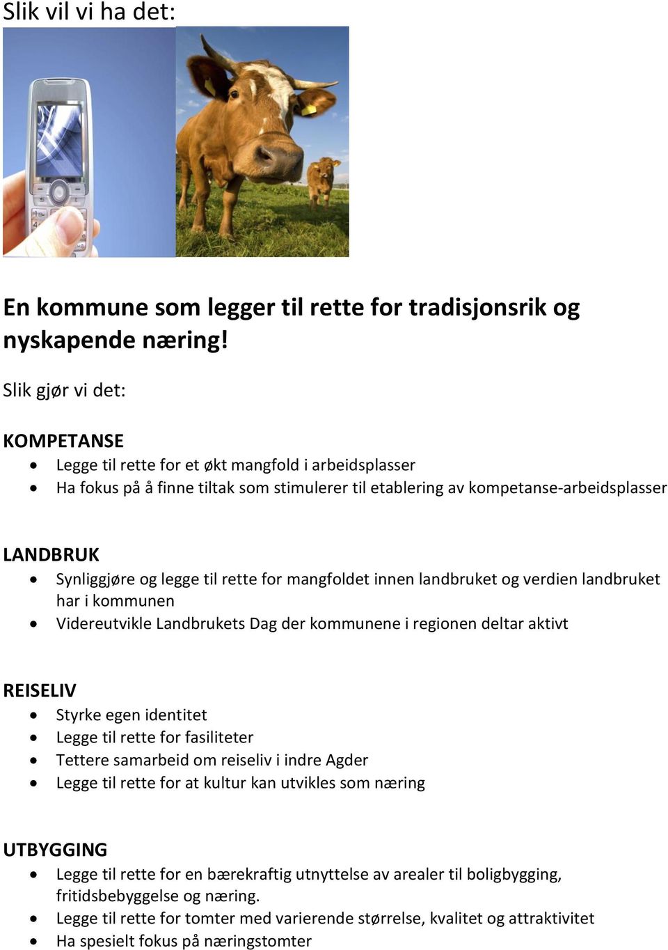 til rette for mangfoldet innen landbruket og verdien landbruket har i kommunen Videreutvikle Landbrukets Dag der kommunene i regionen deltar aktivt REISELIV Styrke egen identitet Legge til rette for