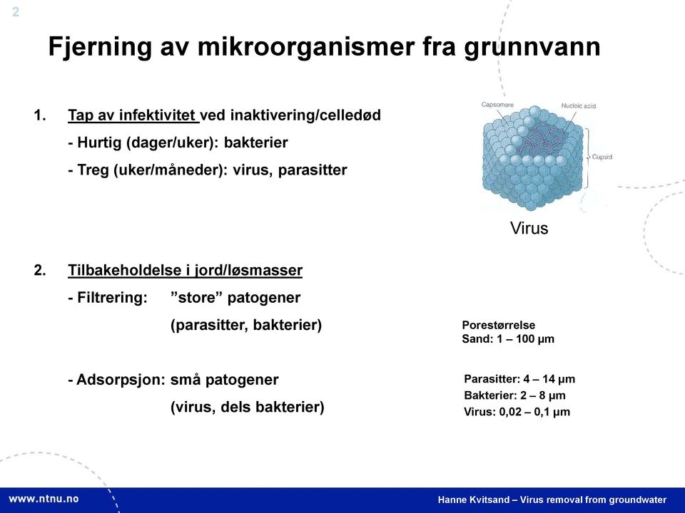 (uker/måneder): virus, parasitter Virus 2.