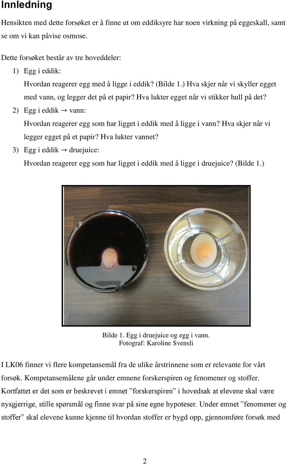 Hva lukter egget når vi stikker hull på det? 2) Egg i eddik vann: Hvordan reagerer egg som har ligget i eddik med å ligge i vann? Hva skjer når vi legger egget på et papir? Hva lukter vannet?