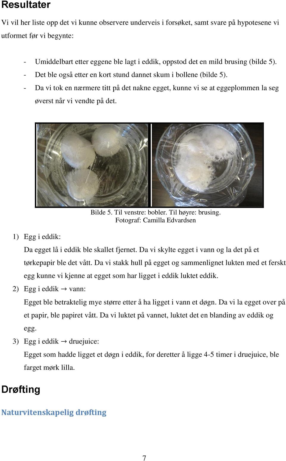 1) Egg i eddik: Bilde 5. Til venstre: bobler. Til høyre: brusing. Fotograf: Camilla Edvardsen Da egget lå i eddik ble skallet fjernet.