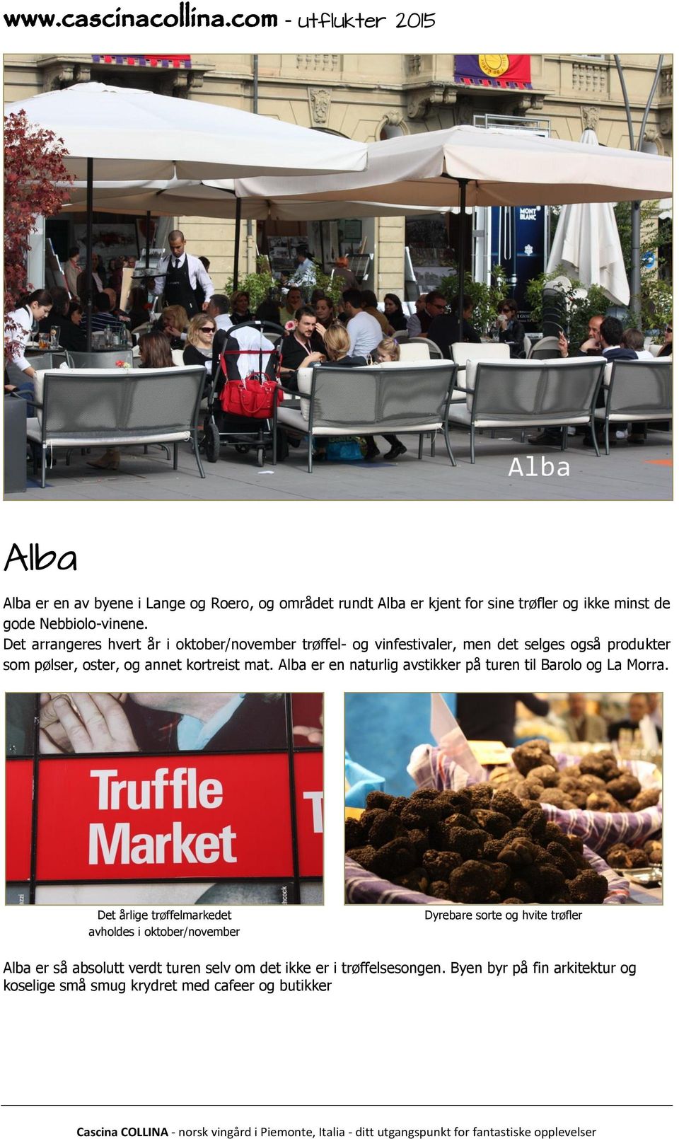 Alba er en naturlig avstikker på turen til Barolo og La Morra.