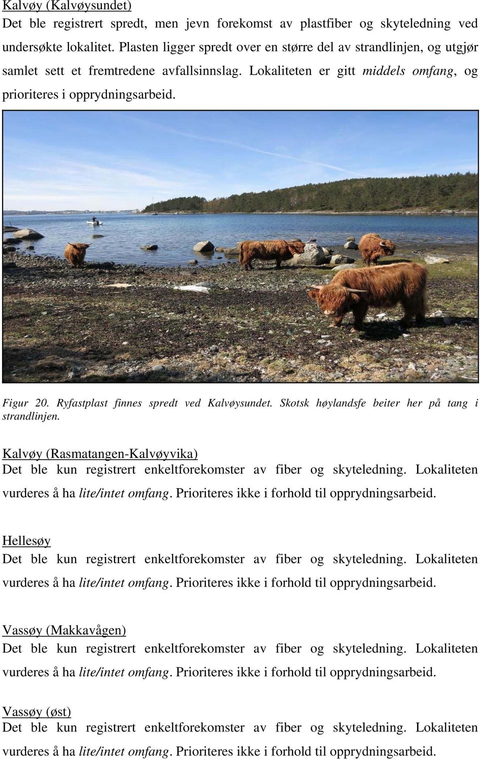 Ryfastplast finnes spredt ved Kalvøysundet. Skotsk høylandsfe beiter her på tang i strandlinjen. Kalvøy (Rasmatangen-Kalvøyvika) Det ble kun registrert enkeltforekomster av fiber og skyteledning.