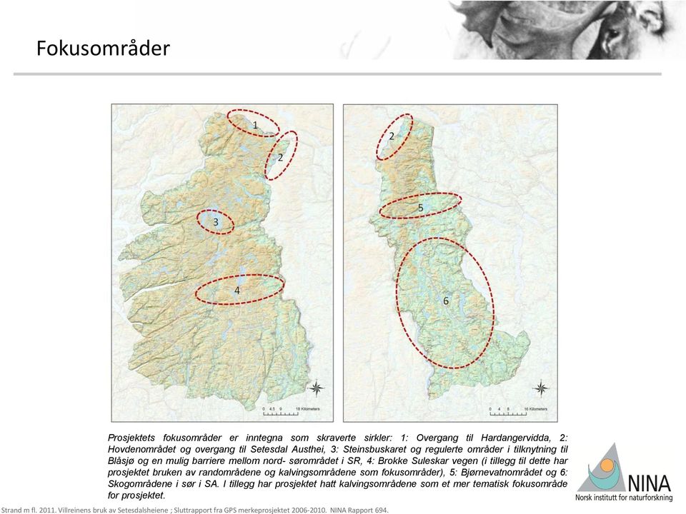 SR, 4: Brokke Suleskar vegen (i tillegg til dette har prosjektet bruken av randområdene og kalvingsområdene som fokusområder), 5: