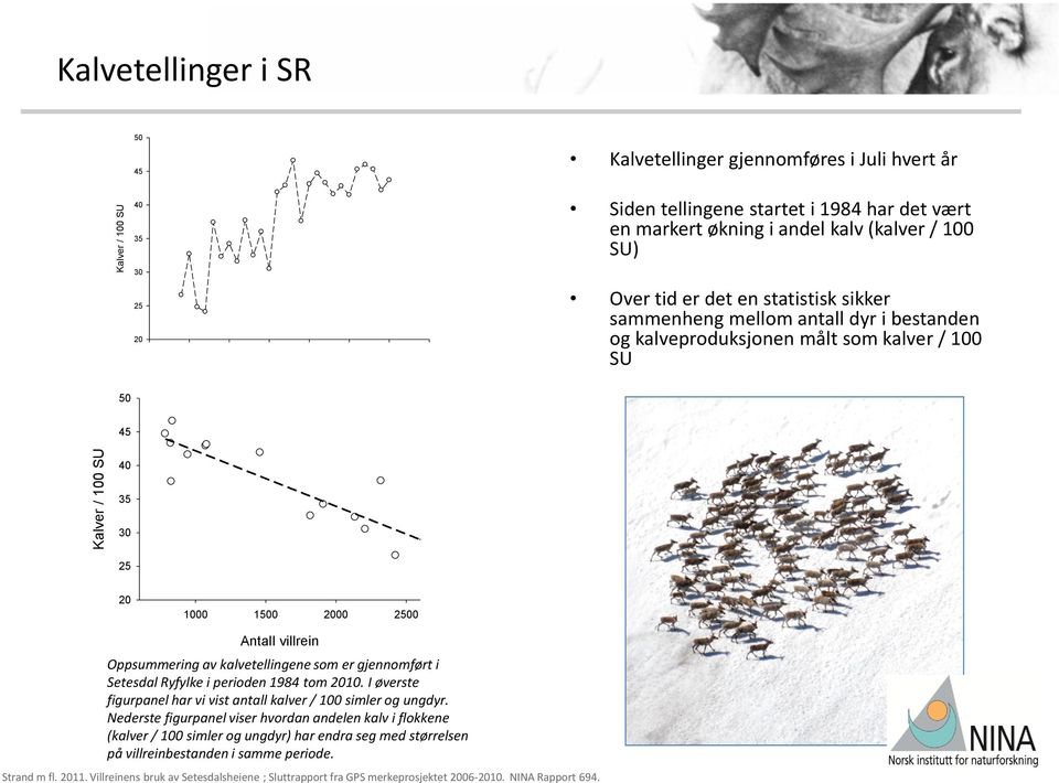 100 SU 40 35 30 25 20 1000 1500 2000 2500 Antall villrein Oppsummering av kalvetellingene som er gjennomført i Setesdal Ryfylke i perioden 1984 tom 2010.