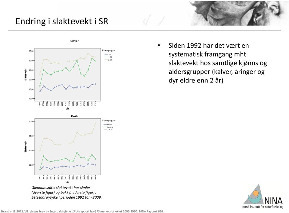 åringer og dyr eldre enn 2 år) Gjennomsnitts slaktevekt hos simler