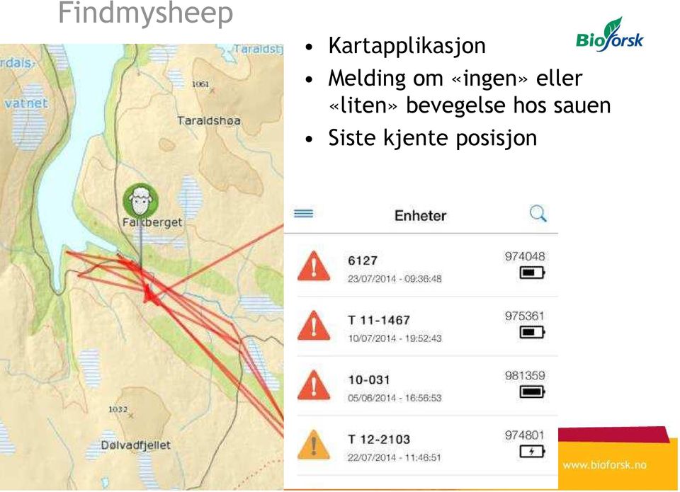 om «ingen» eller «liten»