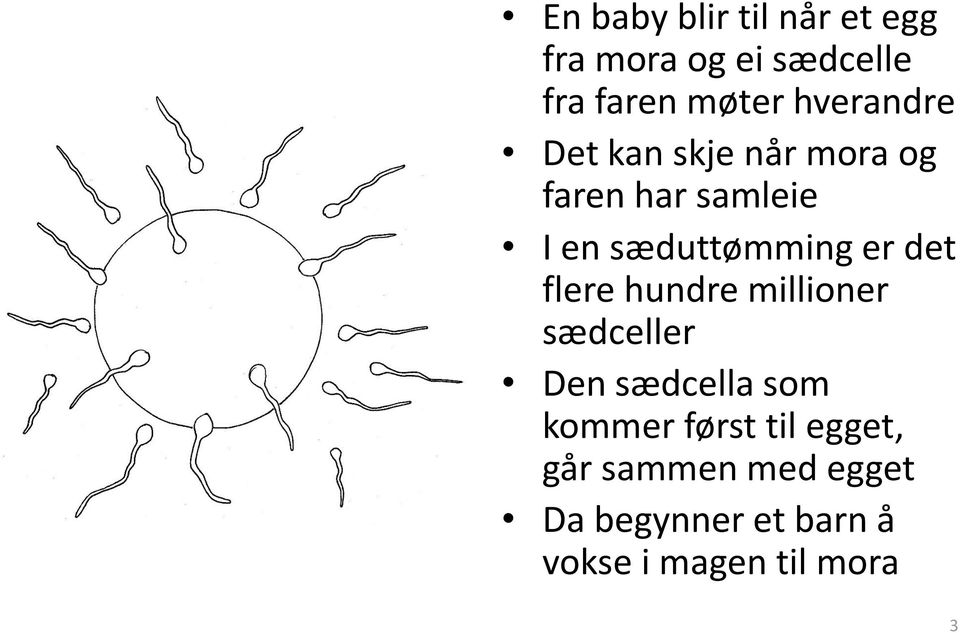 er det flere hundre millioner sædceller Den sædcella som kommer først